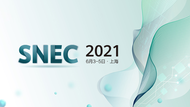 SNEC 2021